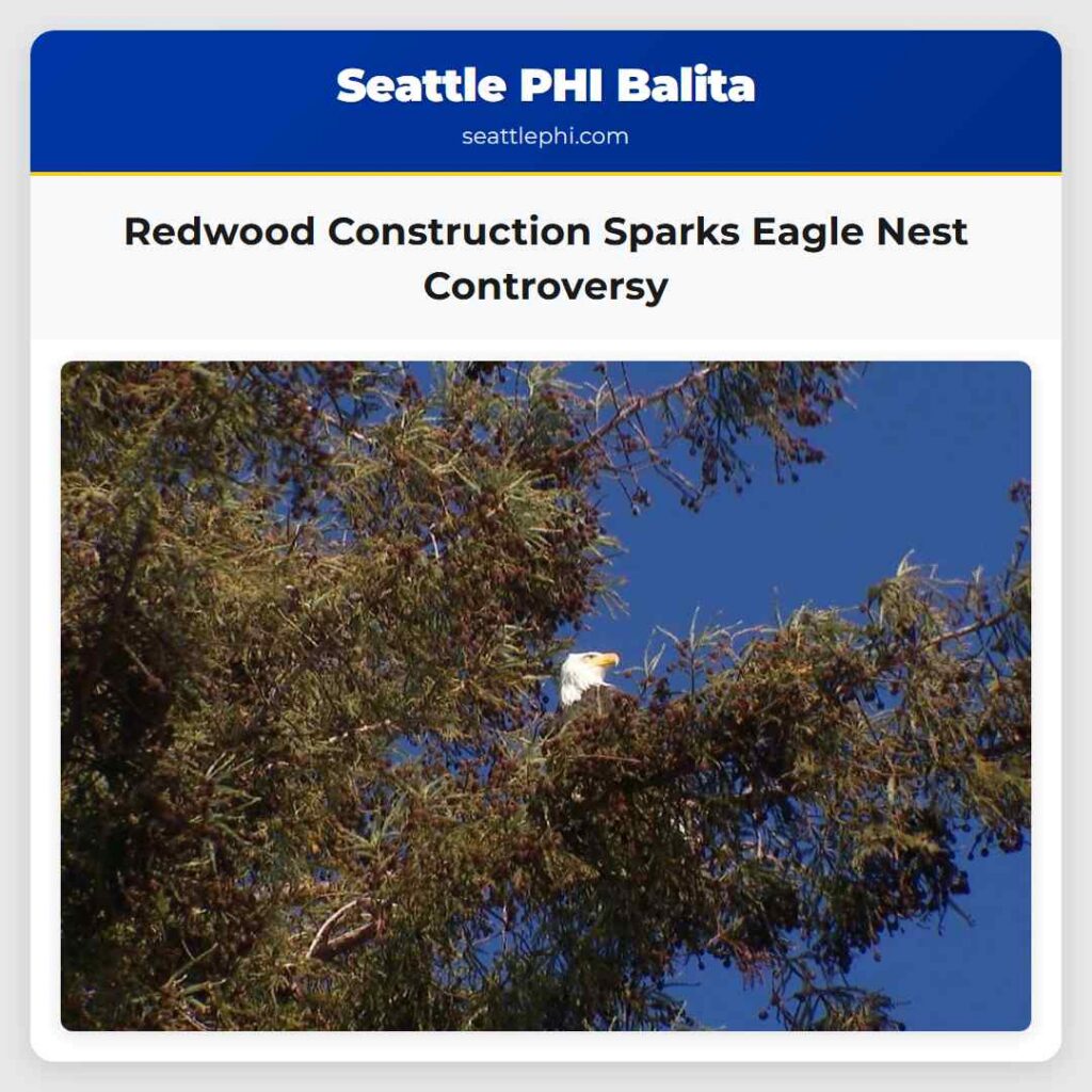 Redwood Construction Sparks Eagle Nest Controversy