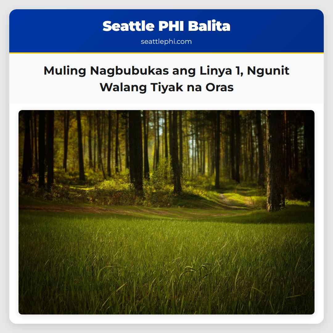 Muling Nagbubukas ang Linya 1, Ngunit Walang