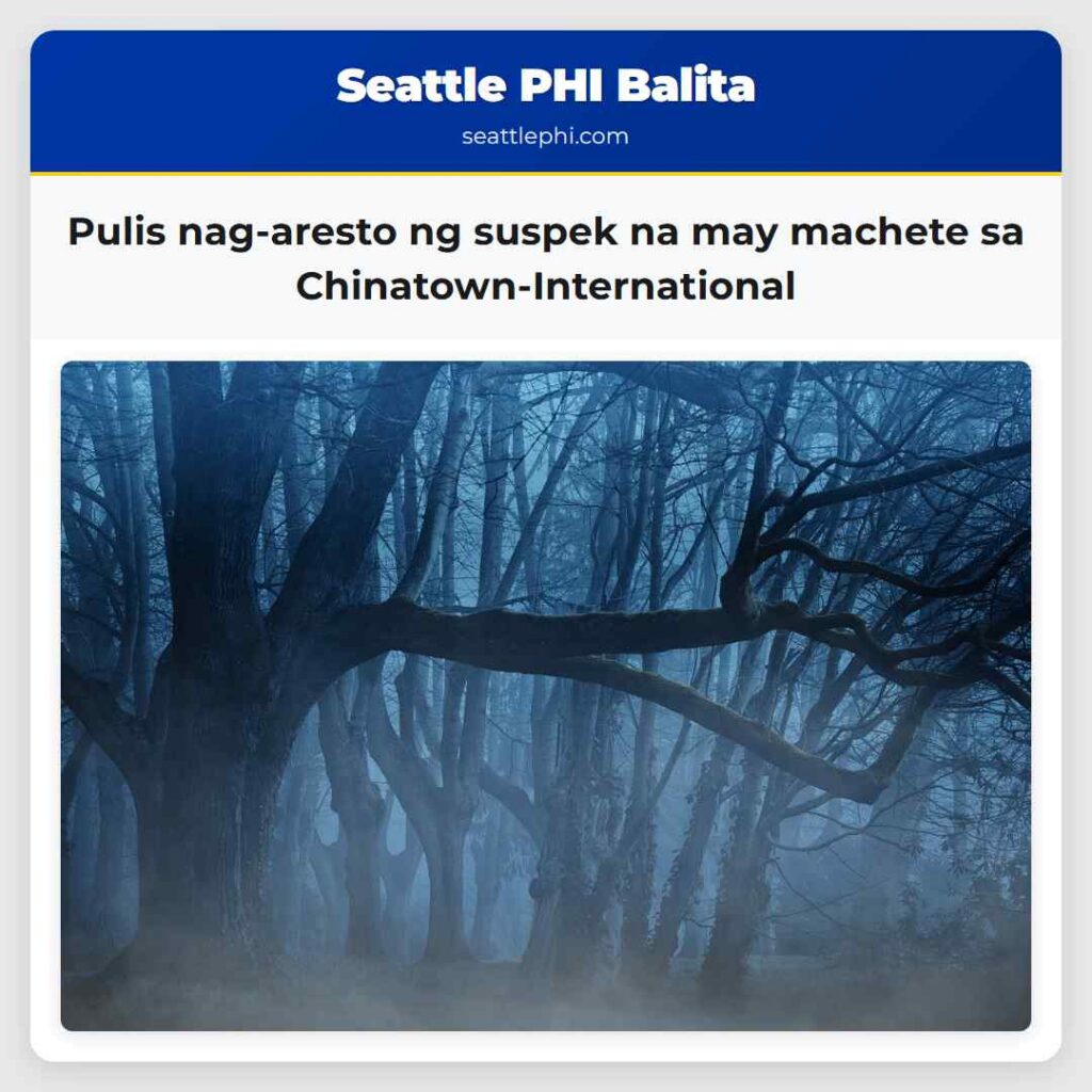 Pulis nag-aresto ng suspek na may machete sa