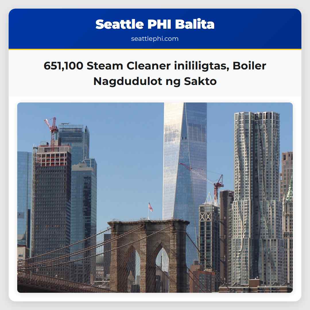 651,100 Steam Cleaner inililigtas, Boiler