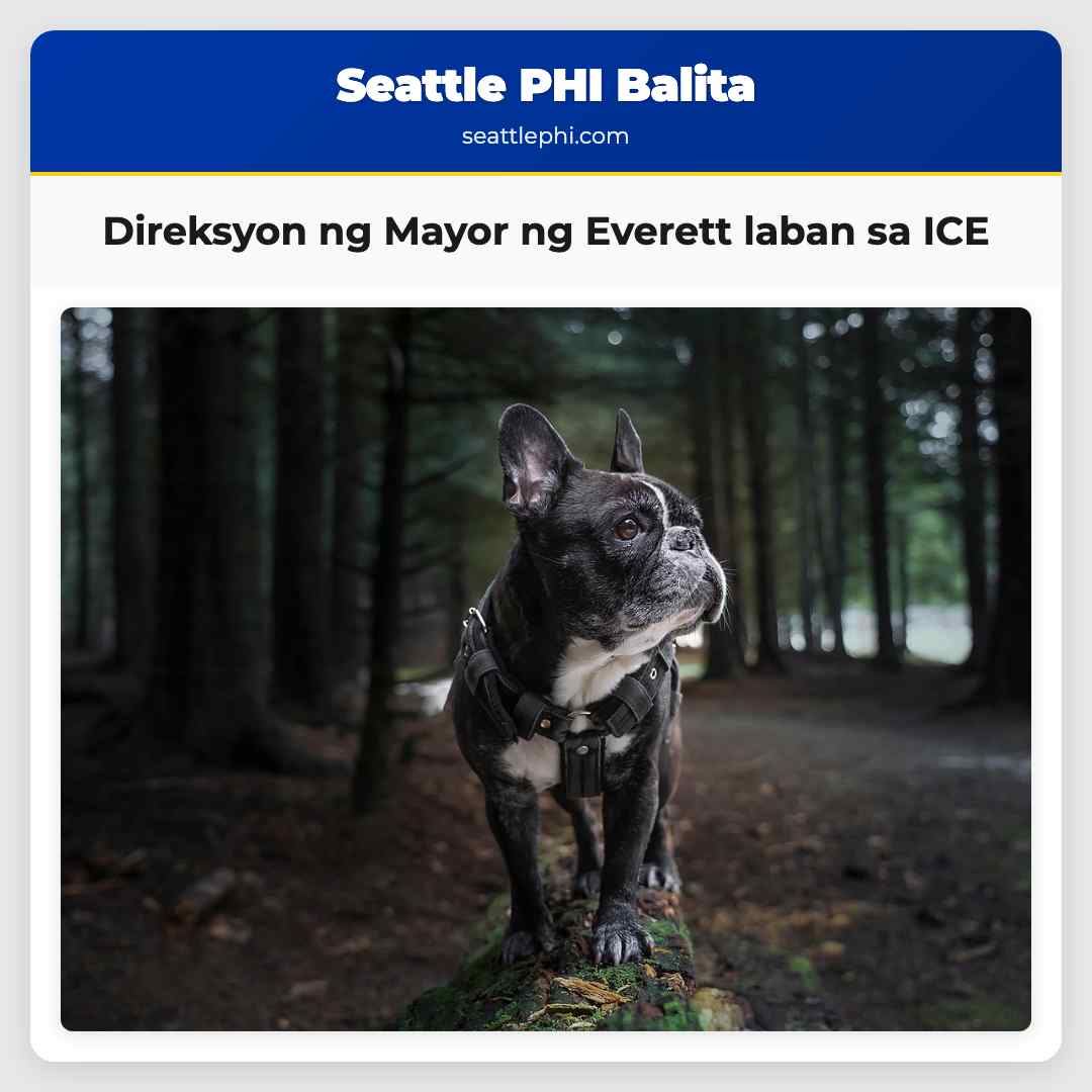Direksyon ng Mayor ng Everett laban sa ICE