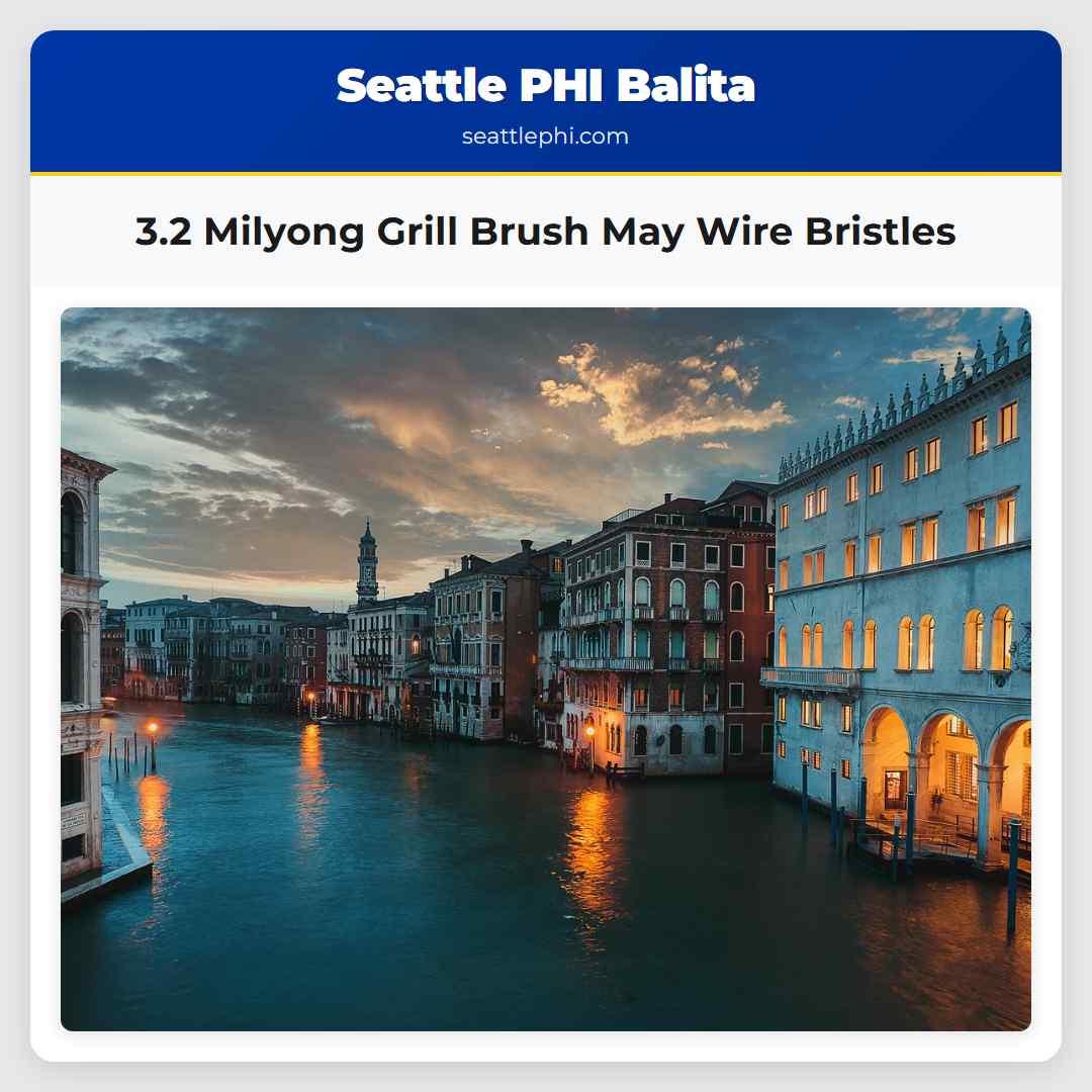 3.2 Milyong Grill Brush May Wire Bristles