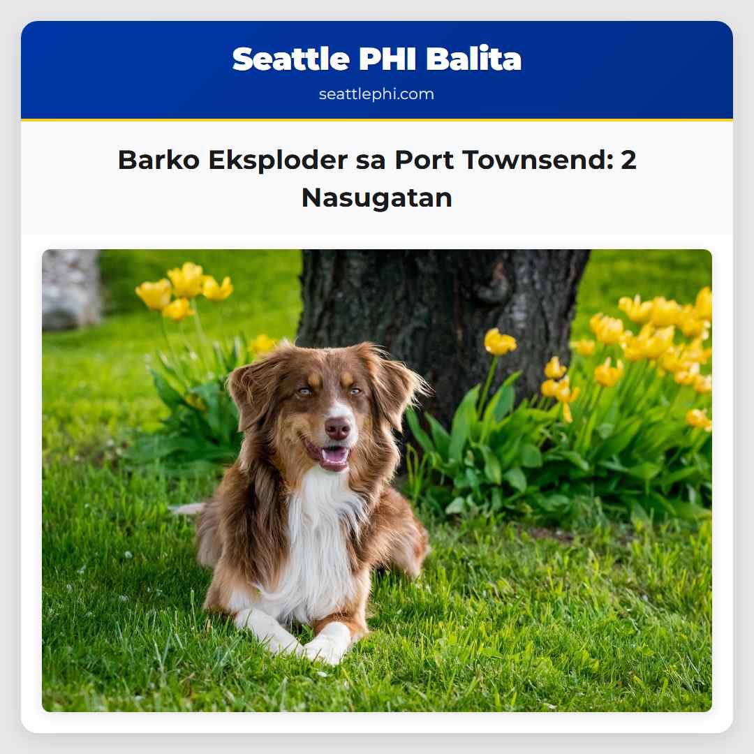 Barko Eksploder sa Port Townsend: 2 Nasugatan