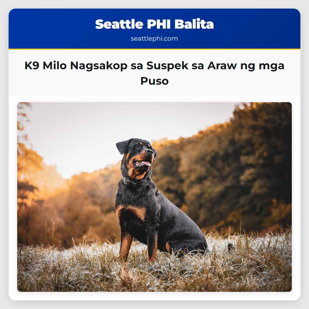 K9 Milo Nagsakop sa Suspek sa Araw ng mga Puso