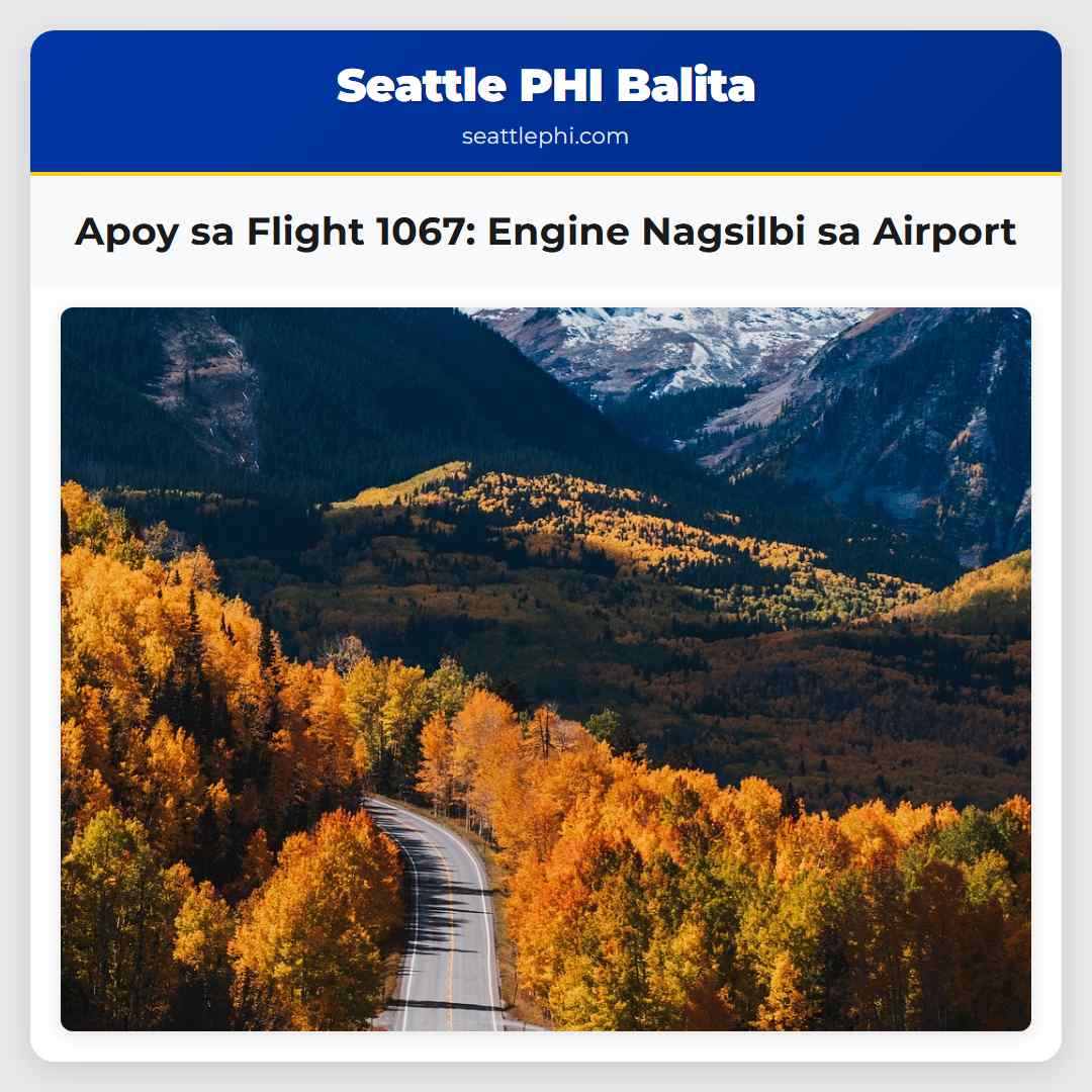 Apoy sa Flight 1067: Engine Nagsilbi sa Airport