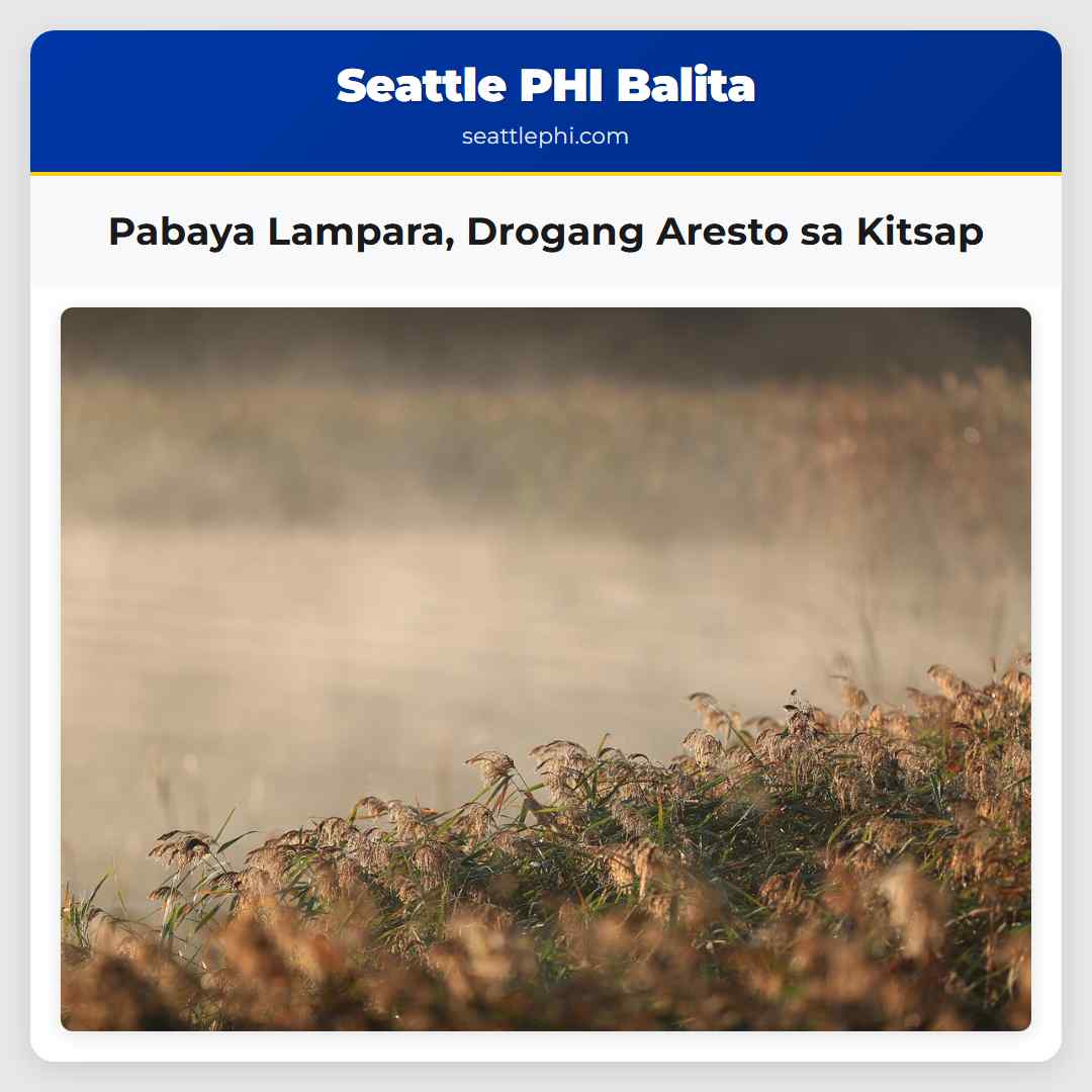 Pabaya Lampara, Drogang Aresto sa Kitsap