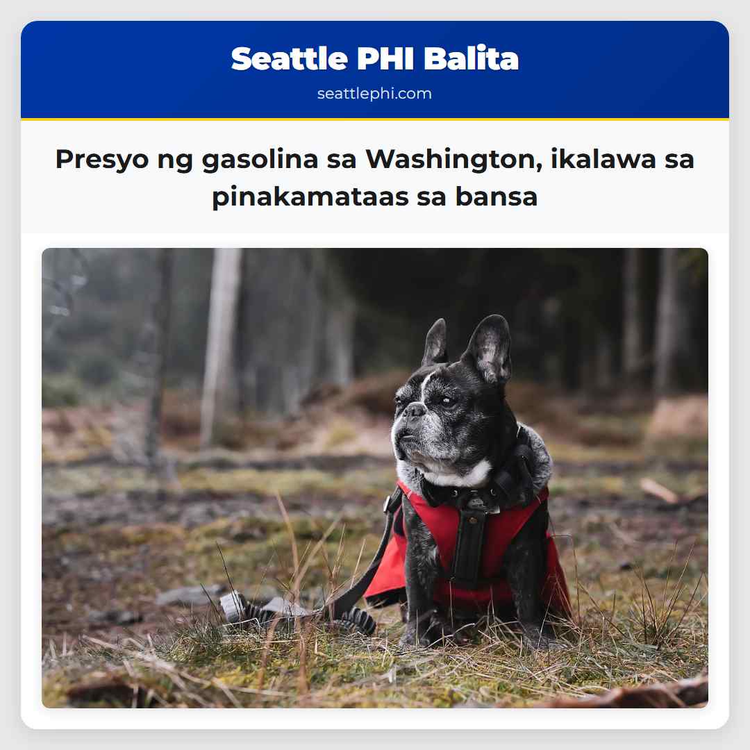 Presyo ng gasolina sa Washington, ikalawa sa