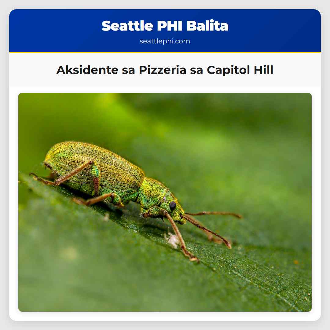 Aksidente sa Pizzeria sa Capitol Hill