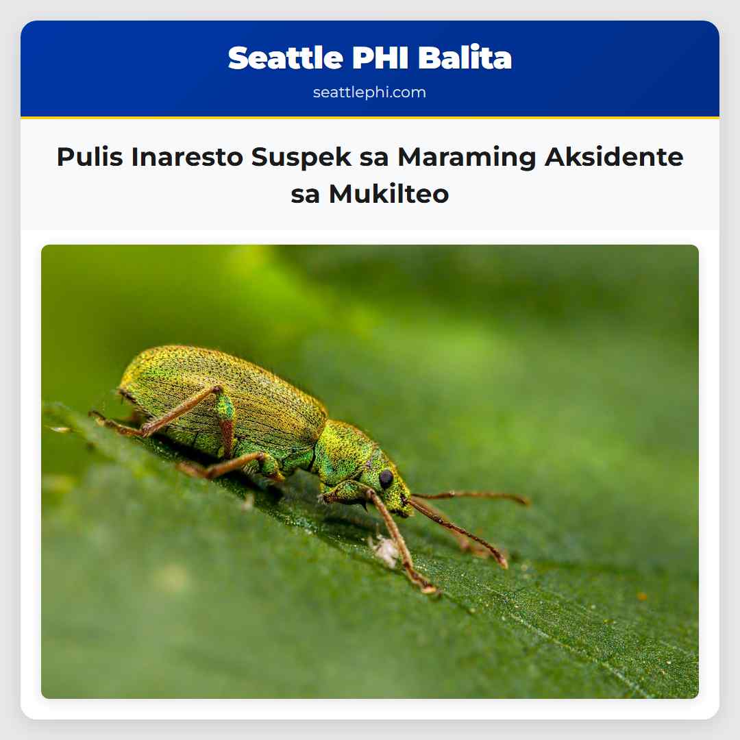 Pulis Inaresto Suspek sa Maraming Aksidente sa