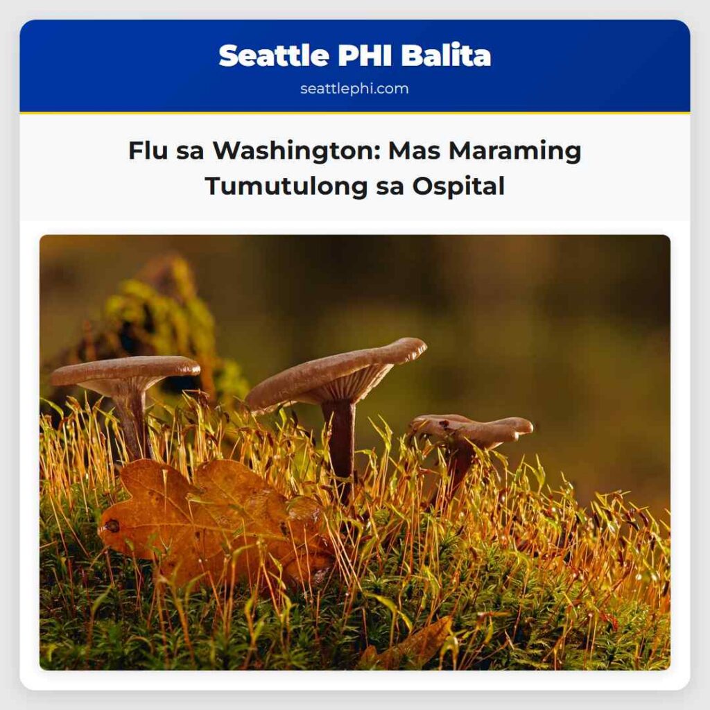 Flu sa Washington: Mas Maraming Tumutulong sa