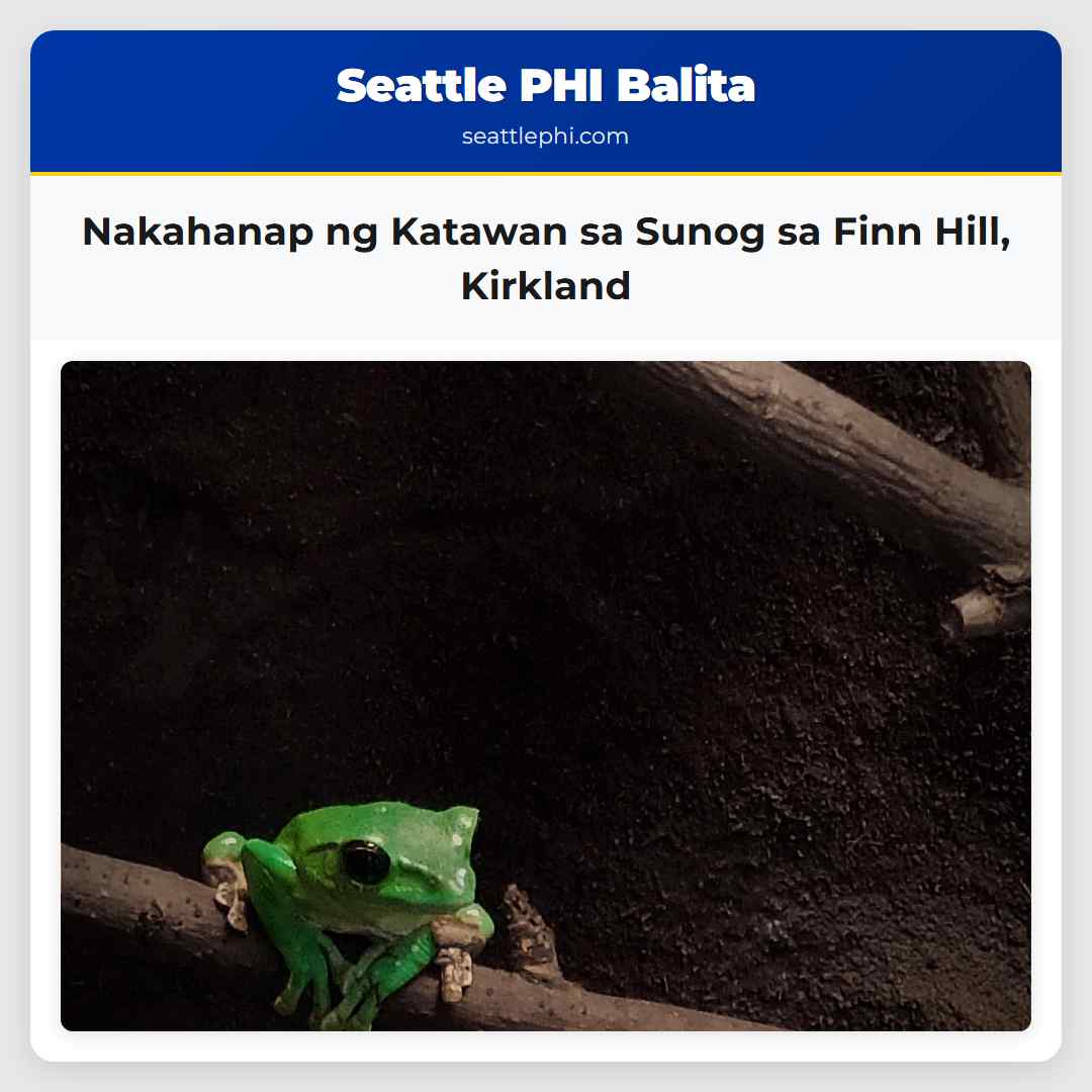 Nakahanap ng Katawan sa Sunog sa Finn Hill,