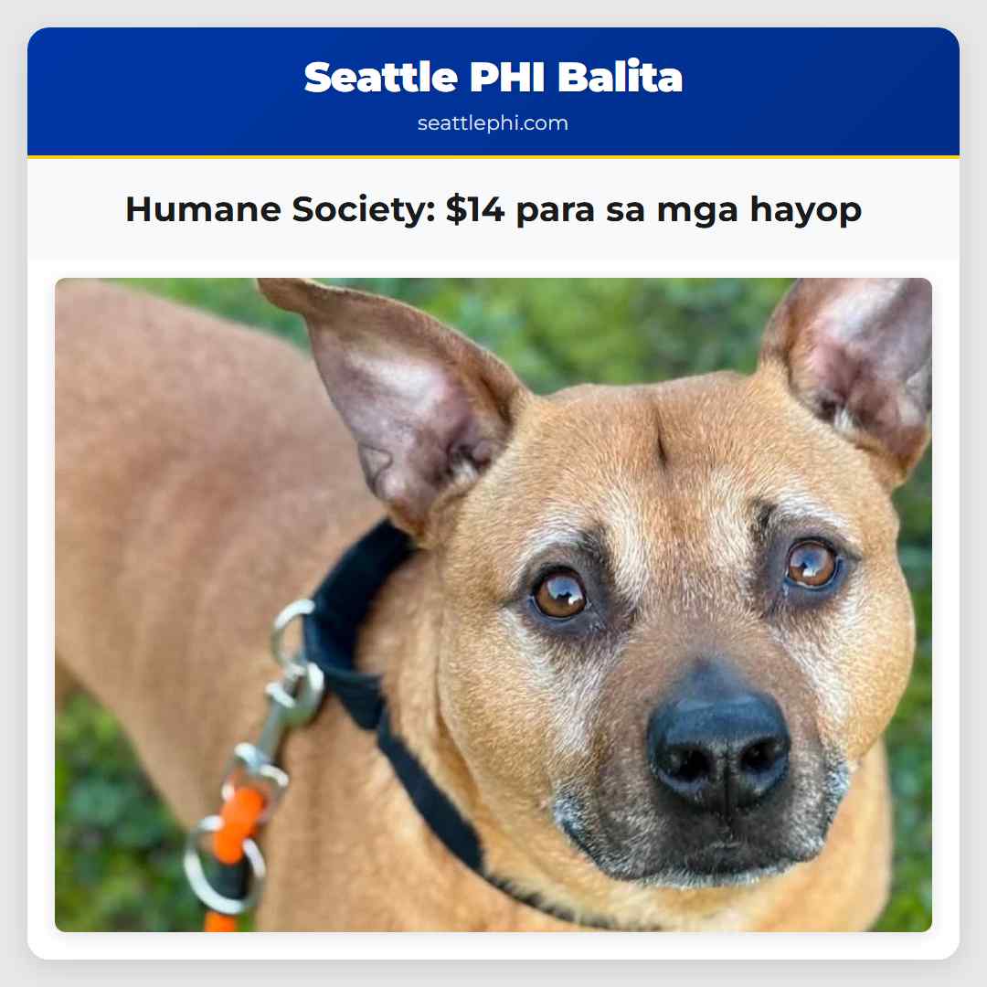 Humane Society: $14 para sa mga hayop