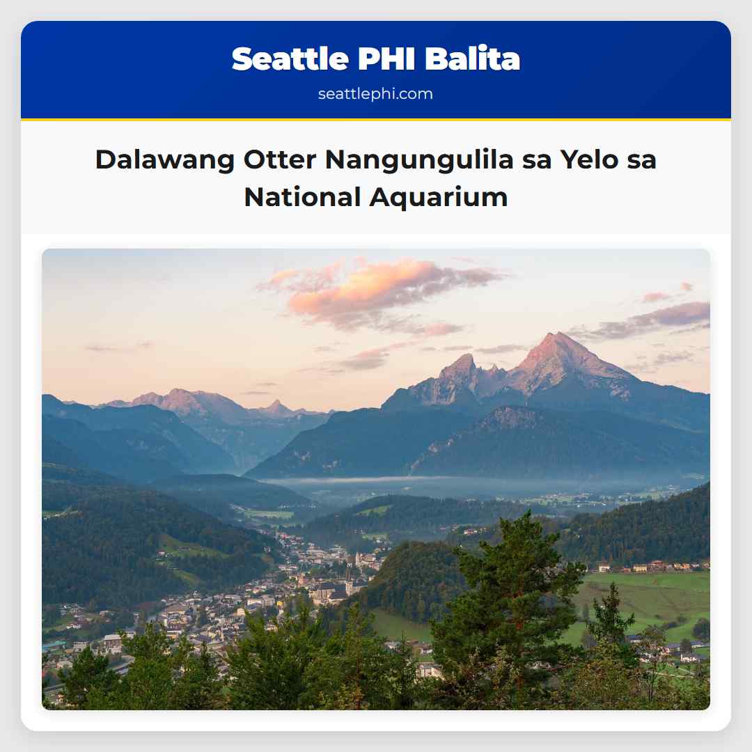 Dalawang Otter Nangungulila sa Yelo sa National