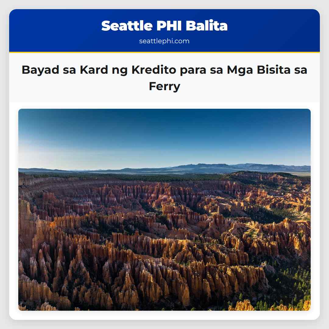 Bayad sa Kard ng Kredito para sa Mga Bisita sa