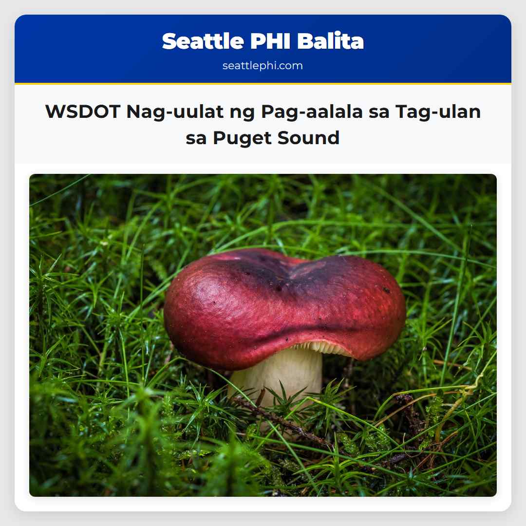 WSDOT Nag-uulat ng Pag-aalala sa Tag-ulan sa