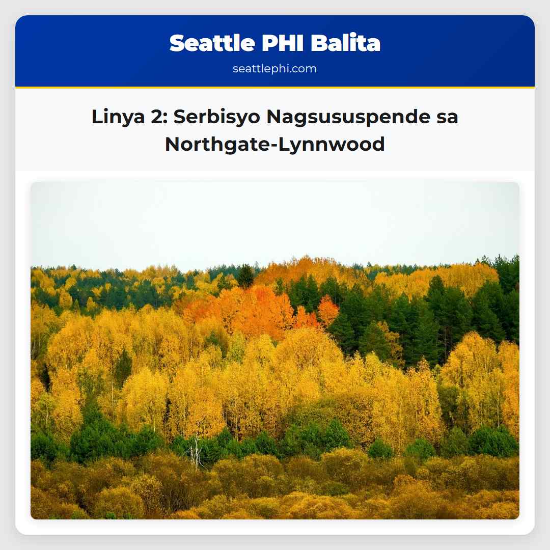 Linya 2: Serbisyo Nagsususpende sa