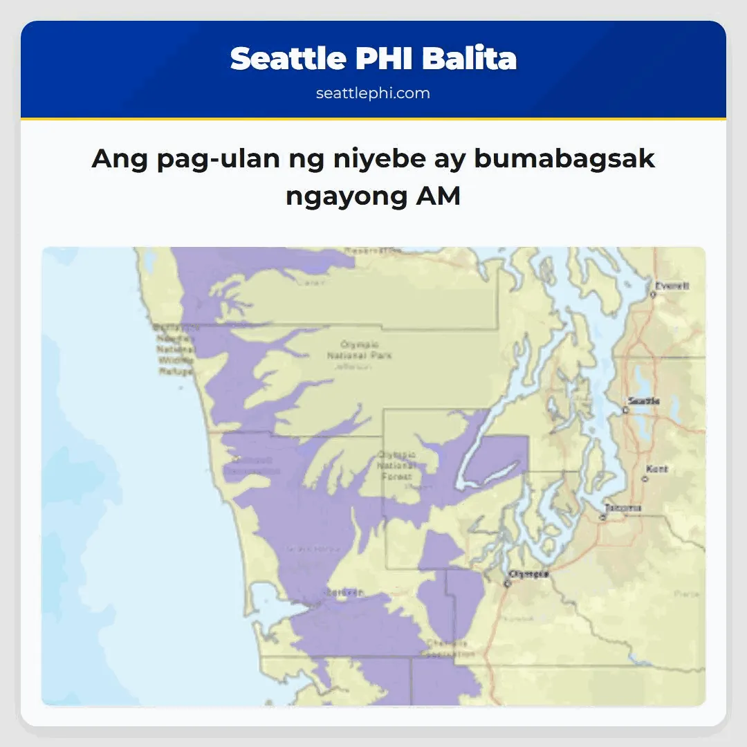 Ang pag-ulan ng niyebe ay bumabagsak ngayong AM