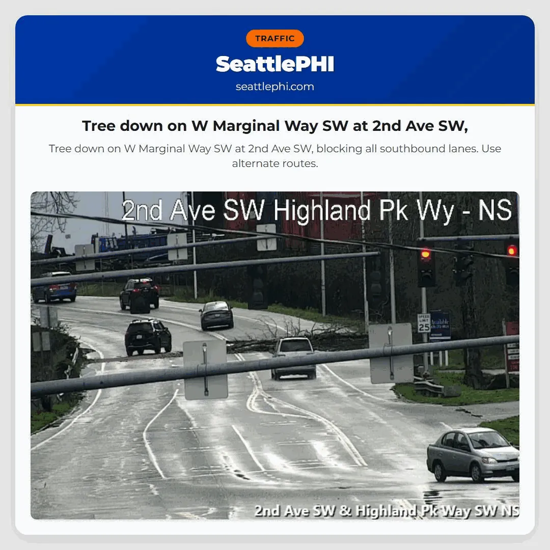 Tree down on W Marginal Way SW at 2nd Ave SW,