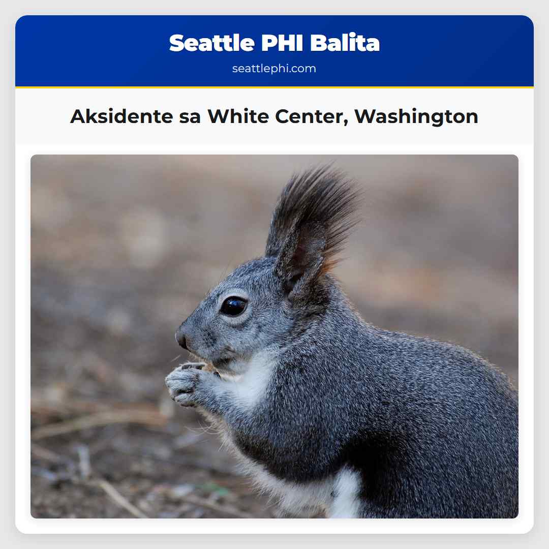 Aksidente sa White Center, Washington