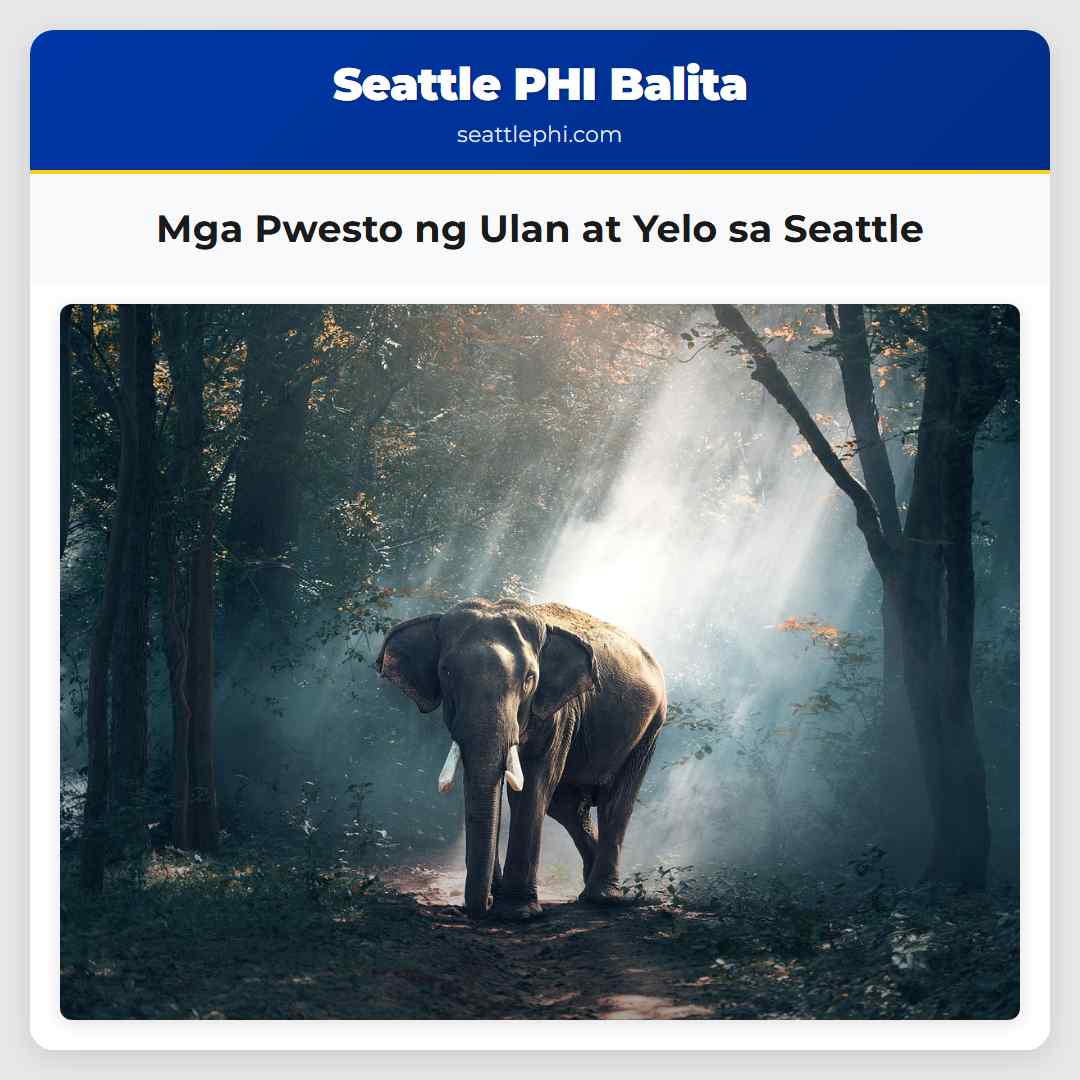 Mga Pwesto ng Ulan at Yelo sa Seattle