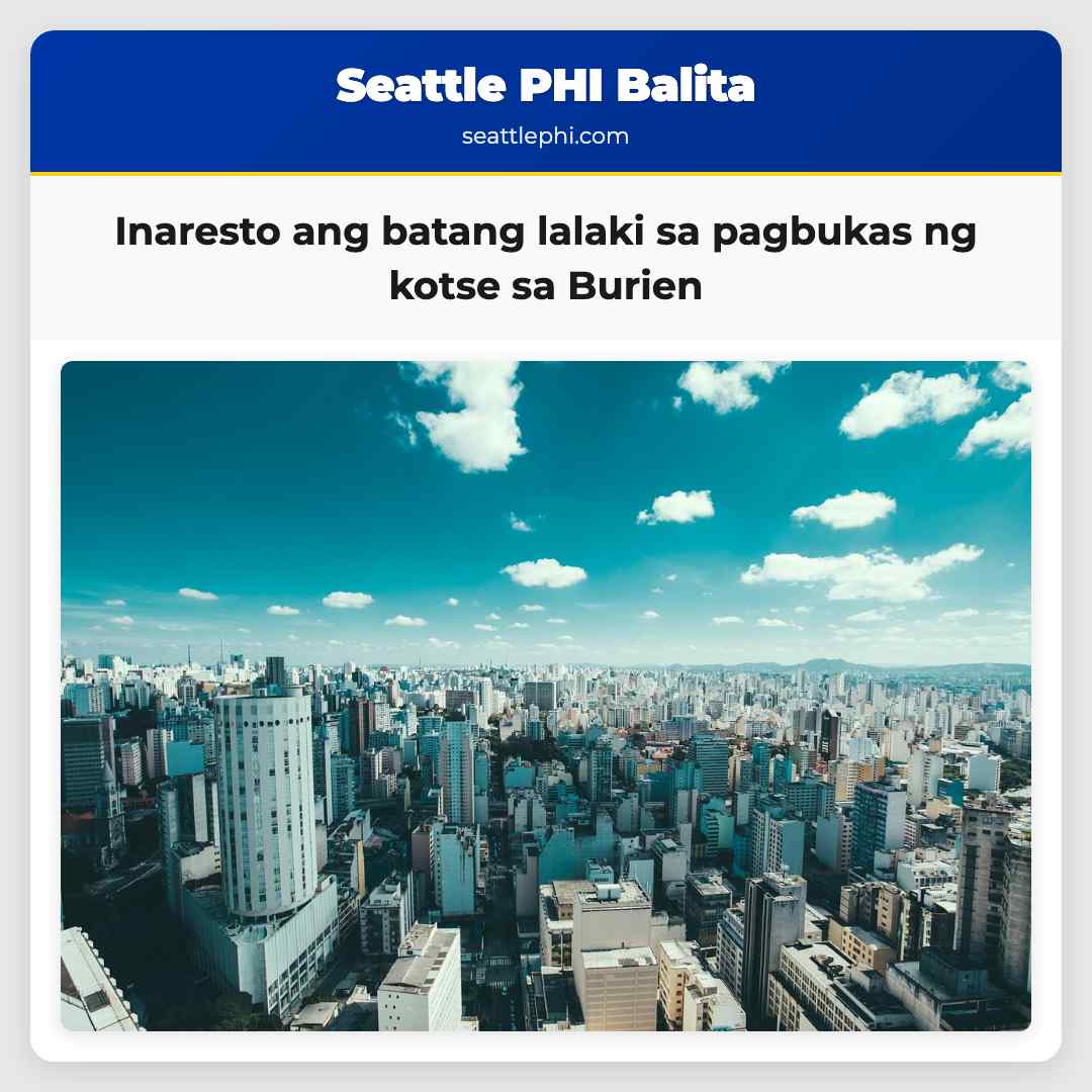 Inaresto ang batang lalaki sa pagbukas ng kotse