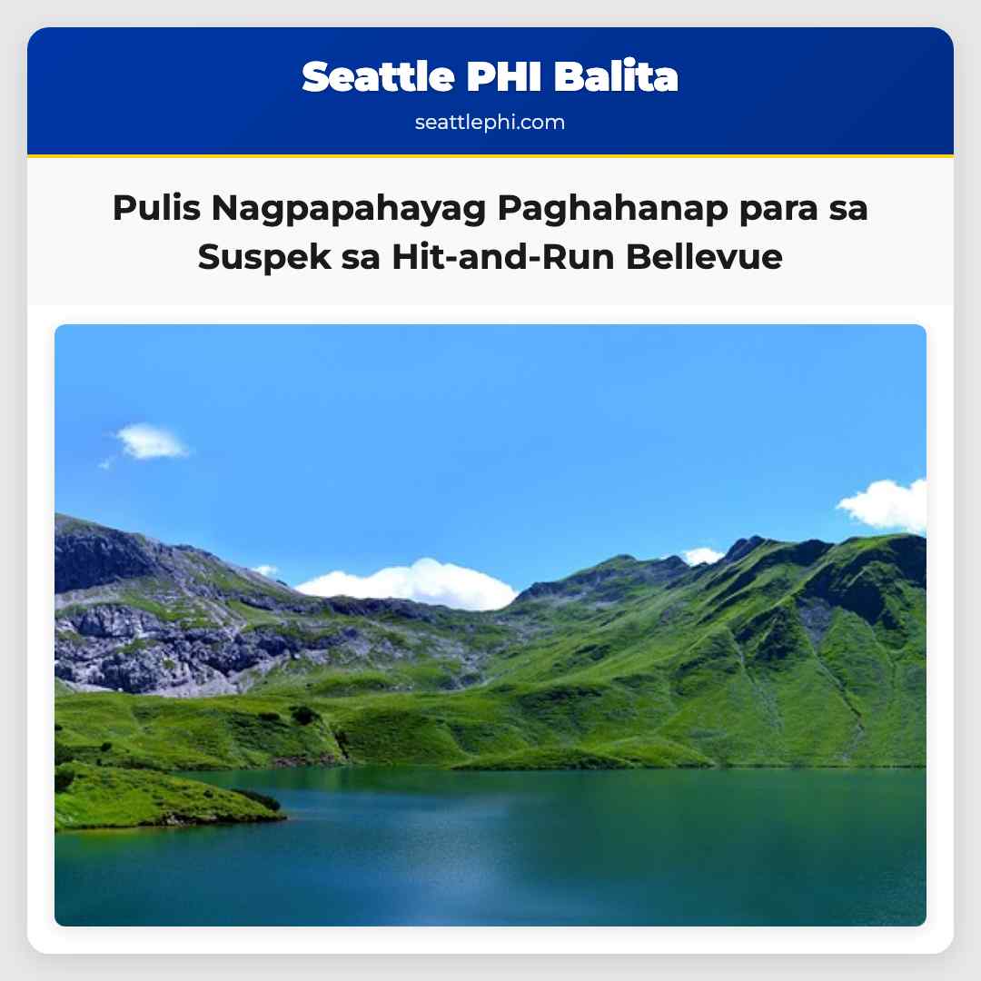 Pulis Nagpapahayag ng Paghahanap para sa Suspek sa Hit-and-Run sa Bellevue WA