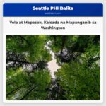 Yelo at Mapasok Kalsada na Mapanganib sa Washington