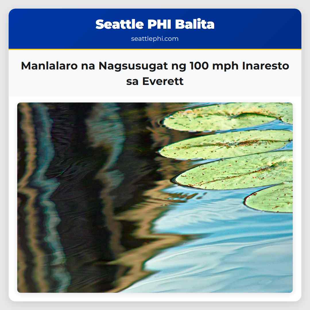 Manlalaro na Nagsusugat ng 100 mph Inaresto sa
