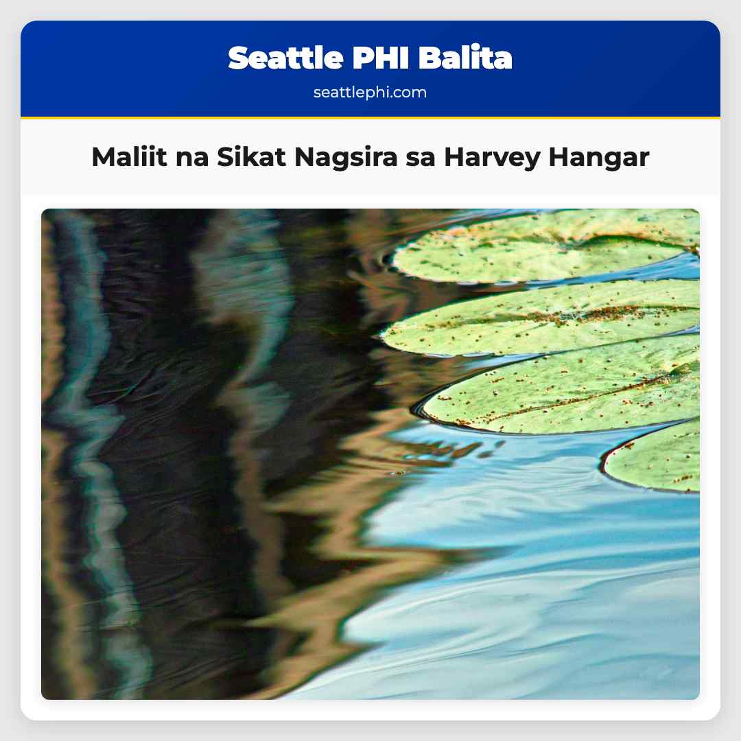 Maliit na Sikat Nagsira sa Harvey Hangar