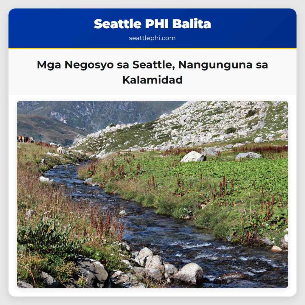 Mga Negosyo sa Seattle, Nangunguna sa Kalamidad