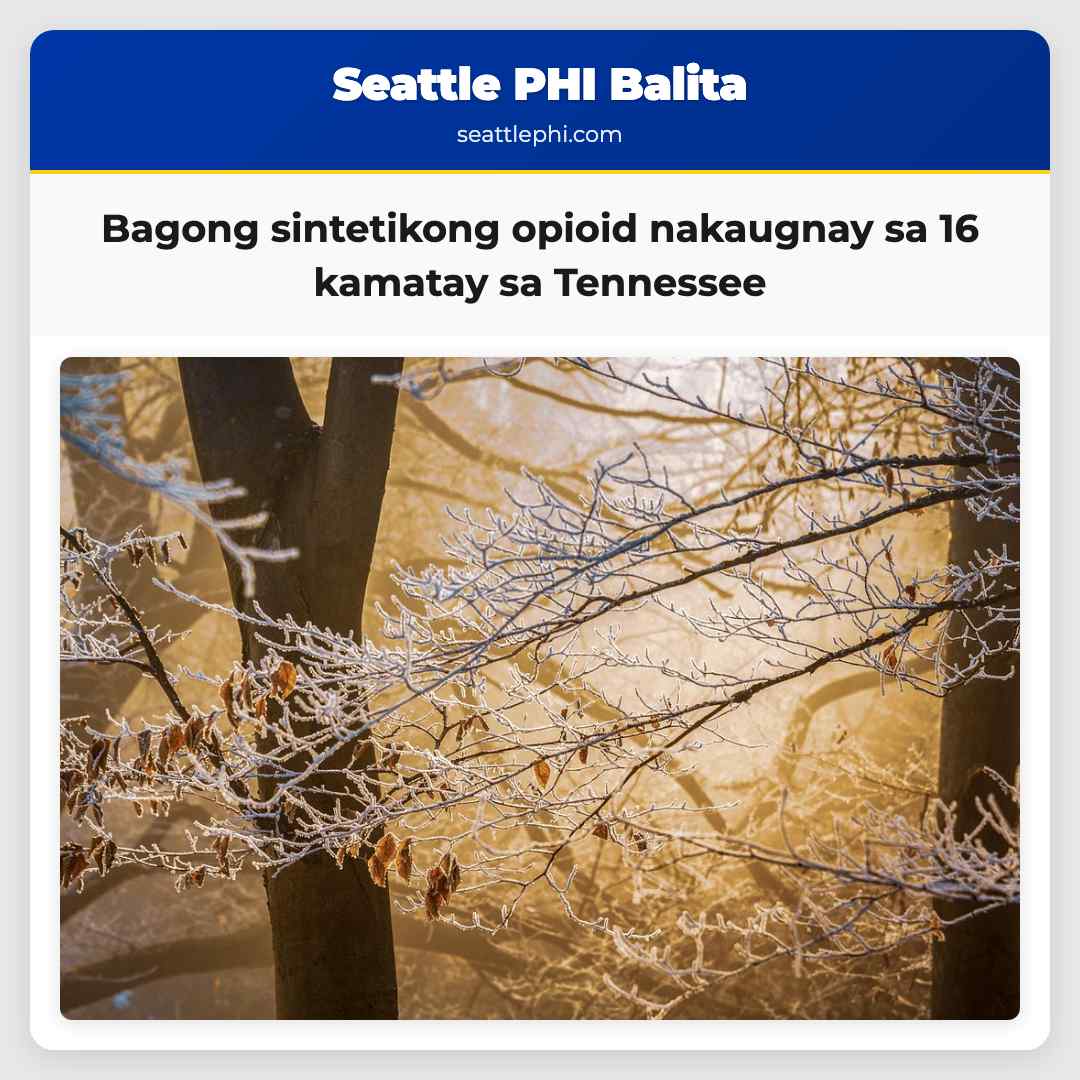 Bagong sintetikong opioid nakaugnay sa 16 kamatay