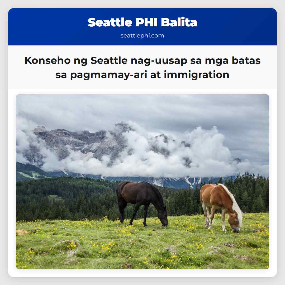 Konseho ng Seattle nag-uusap sa mga batas sa