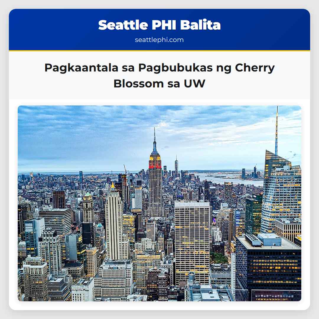 Pagkaantala sa Pagbubukas ng Cherry Blossom sa UW