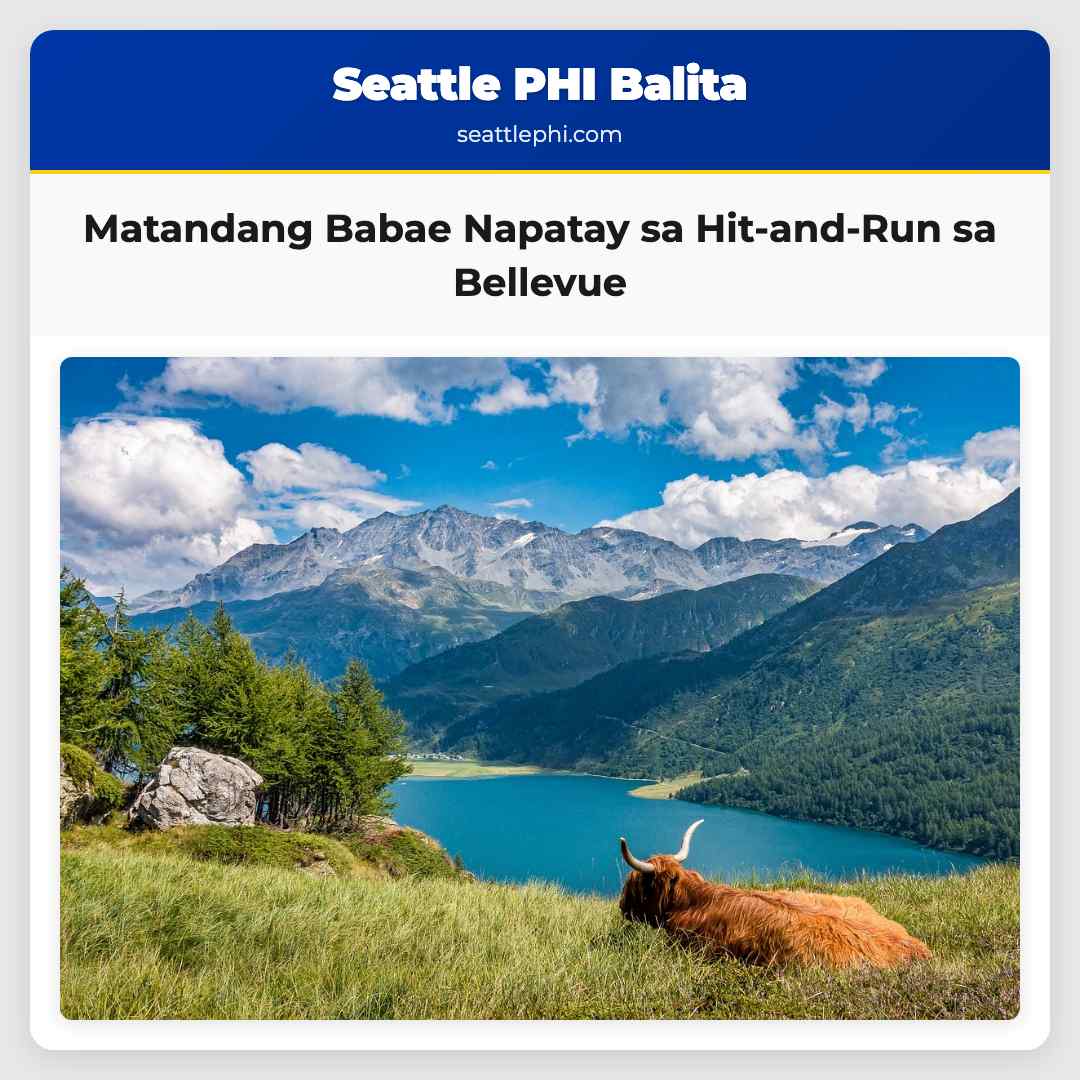 Matandang Babae Napatay sa Hit-and-Run sa Bellevue Sakop na Impormasyon