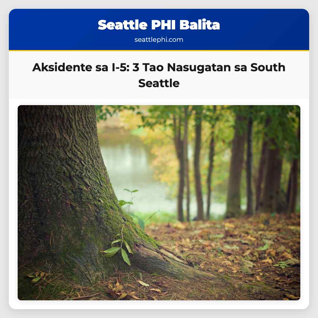 Aksidente sa I-5: 3 Tao Nasugatan sa South Seattle