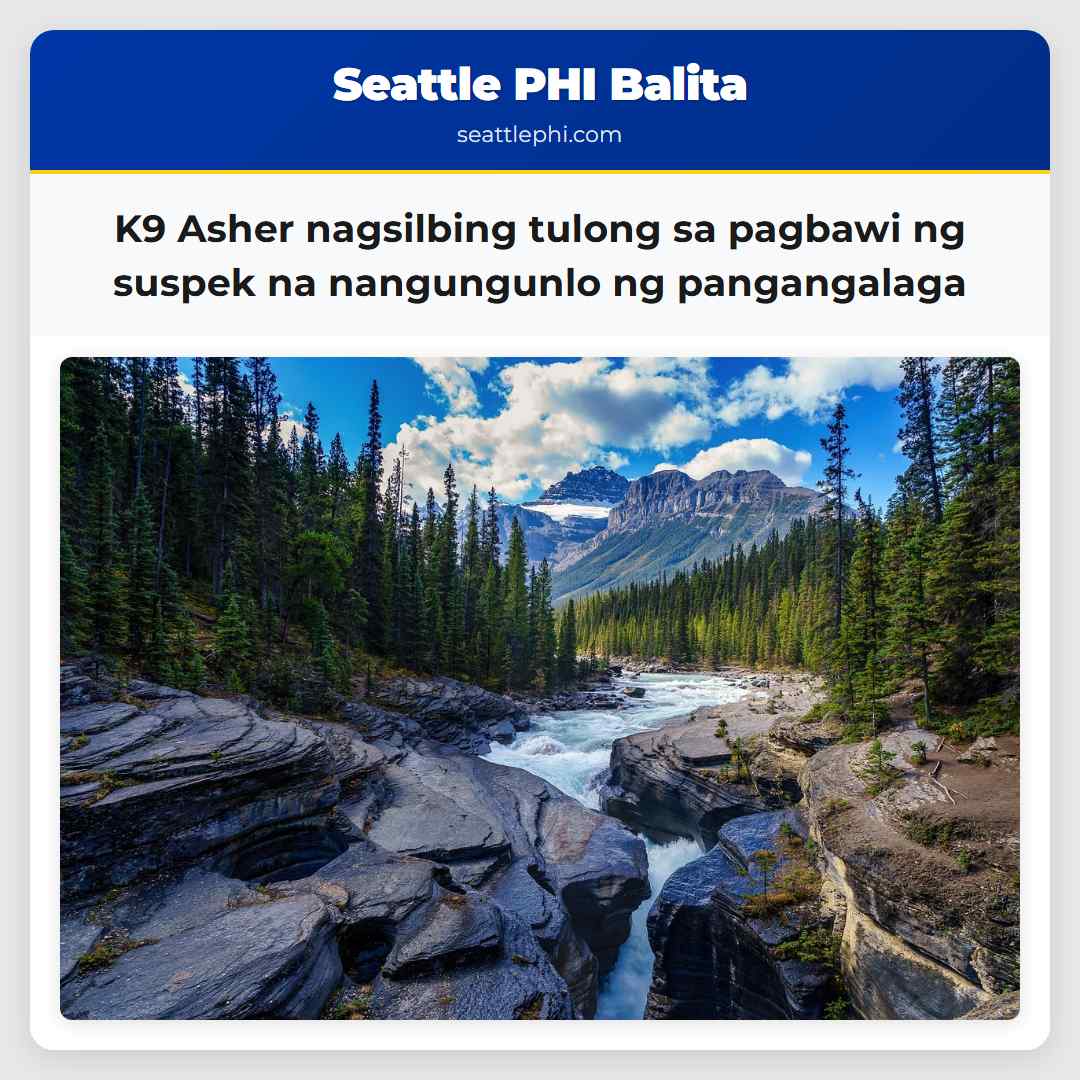 K9 Asher nagsilbing tulong sa pagbawi ng suspek