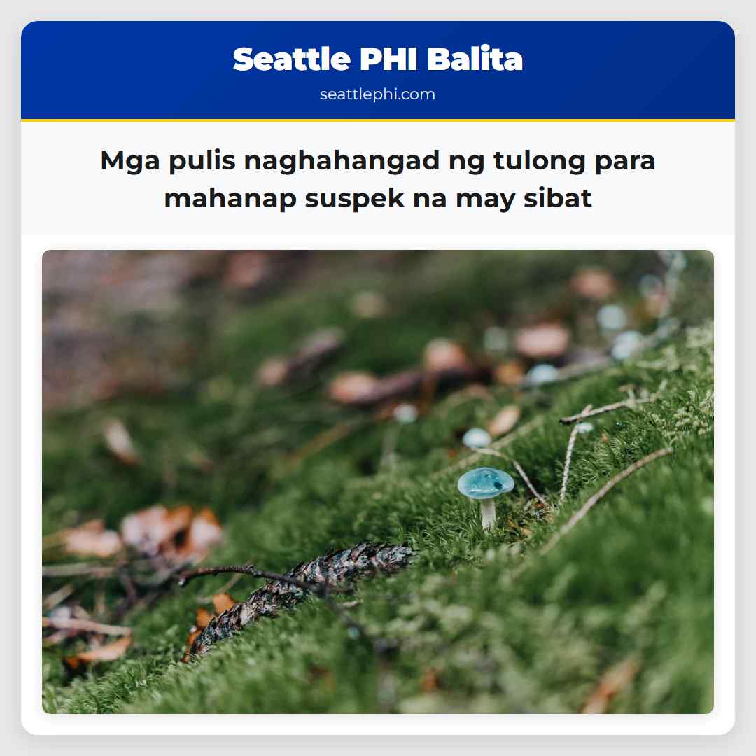 Mga pulis naghahangad ng tulong para mahanap