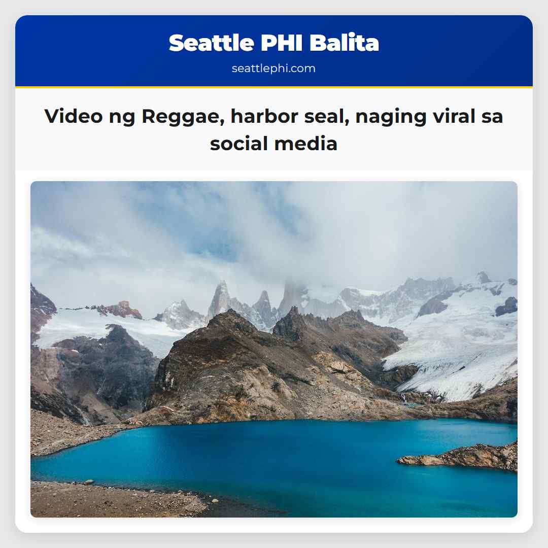 Video ng Reggae, harbor seal, naging viral sa