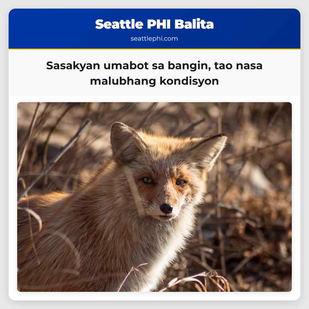 Sasakyan umabot sa bangin, tao nasa malubhang