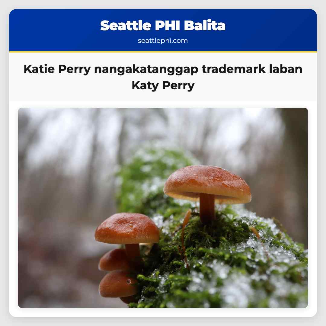 Katie Perry nangakatanggap trademark laban Katy