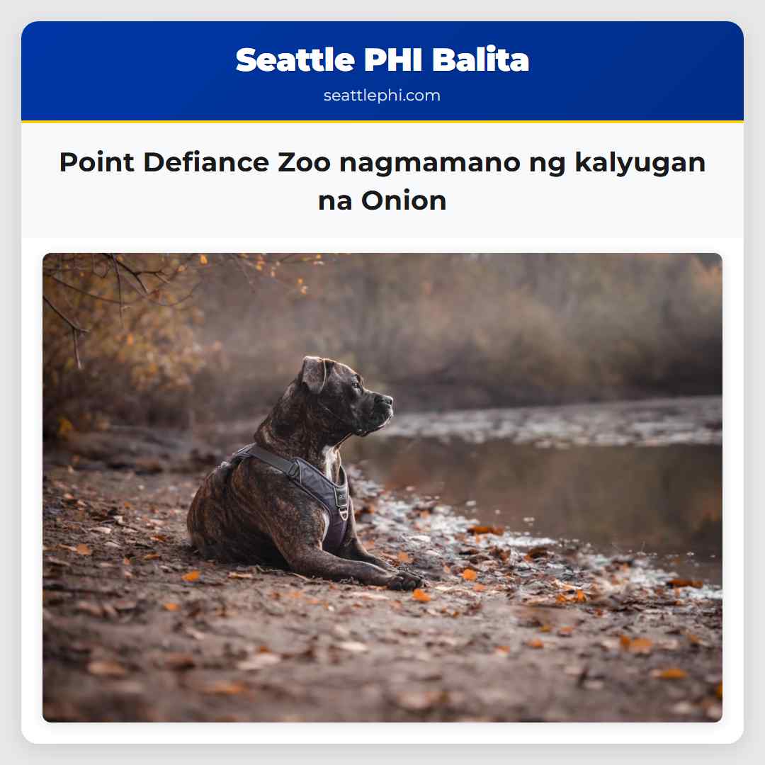 Point Defiance Zoo nagmamano ng kalyugan na Onion