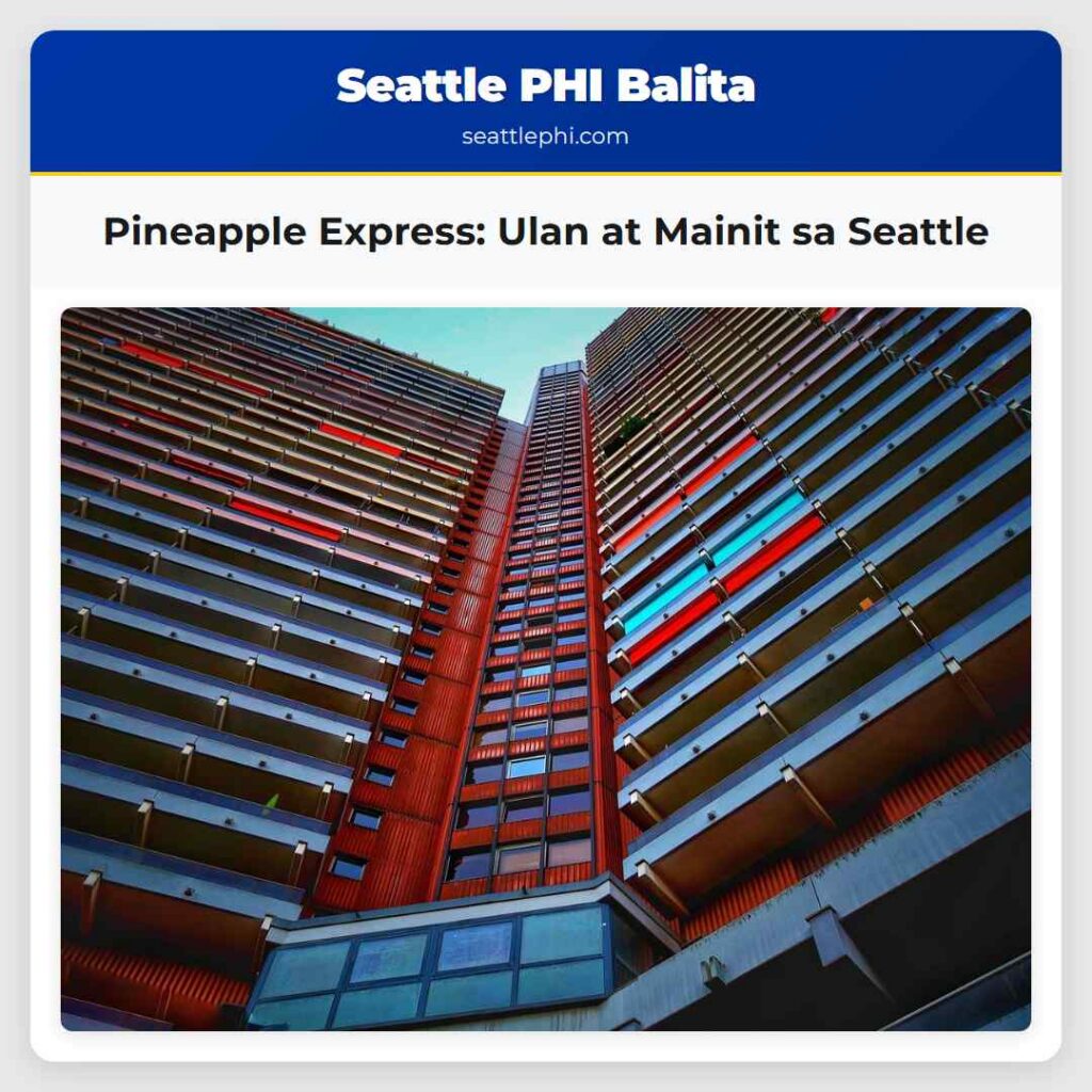 Pineapple Express: Ulan at Mainit sa Seattle