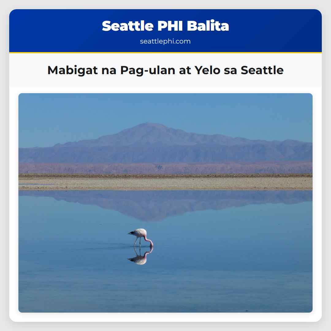 Mabigat na Pag-ulan at Yelo sa Seattle