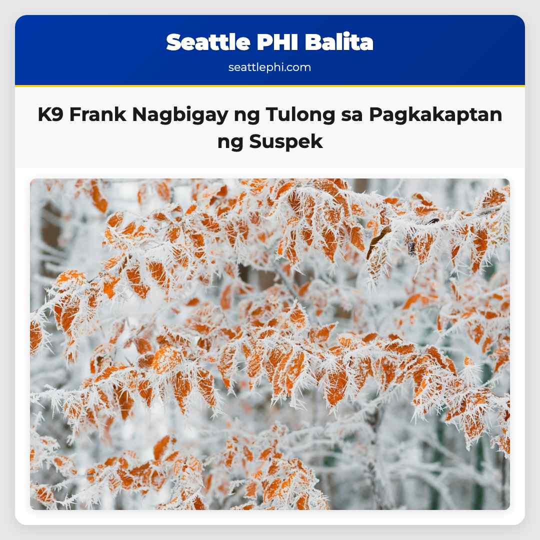 K9 Frank Nagbigay ng Tulong sa Pagkakaptan ng