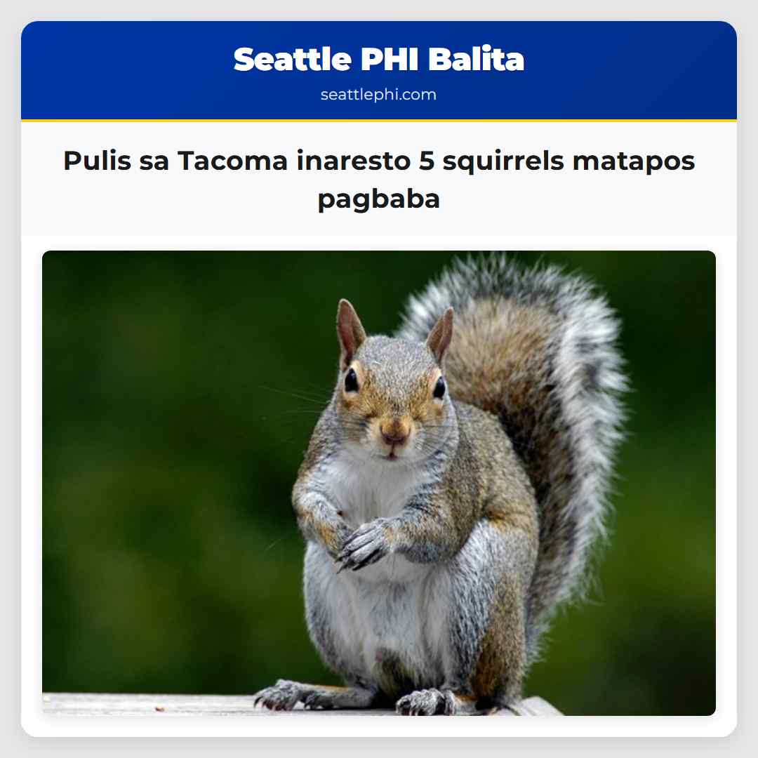 Pulis sa Tacoma inaresto 5 squirrels matapos
