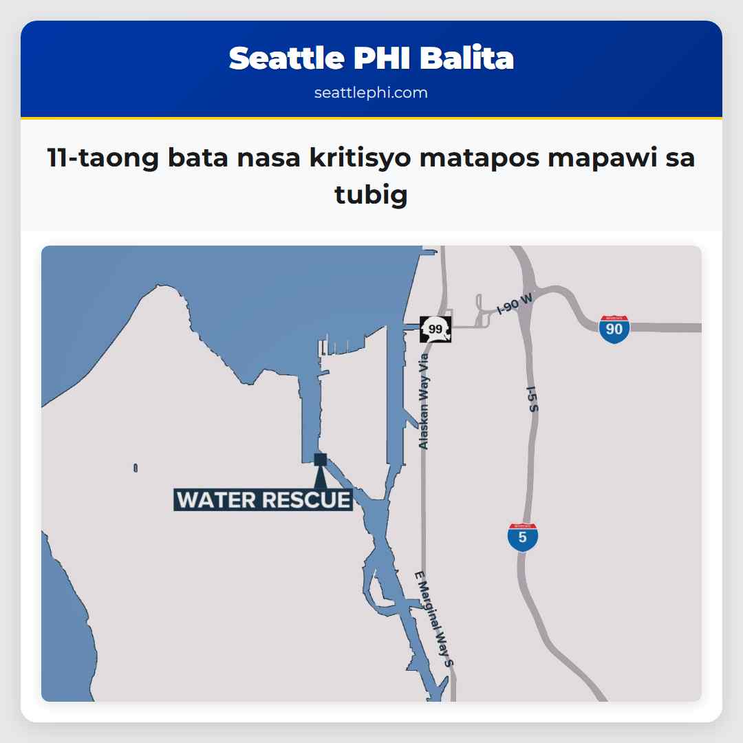 11-taong bata nasa kritisyo matapos mapawi sa