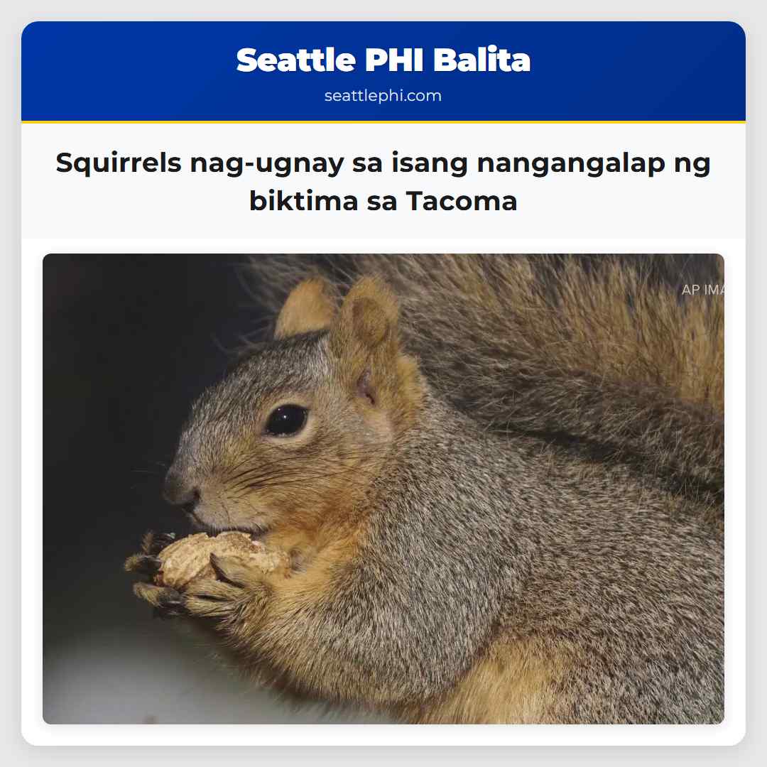 Squirrels nag-ugnay sa isang nangangalap ng