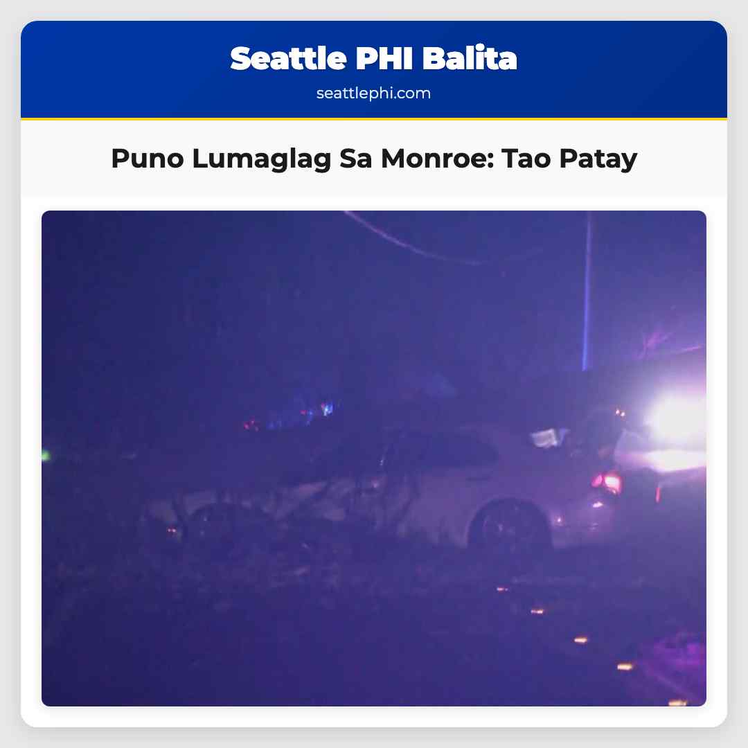 Isang Tao Patay Matapos Lumaglag Ang Puno Sa Kalsada Sa Monroe