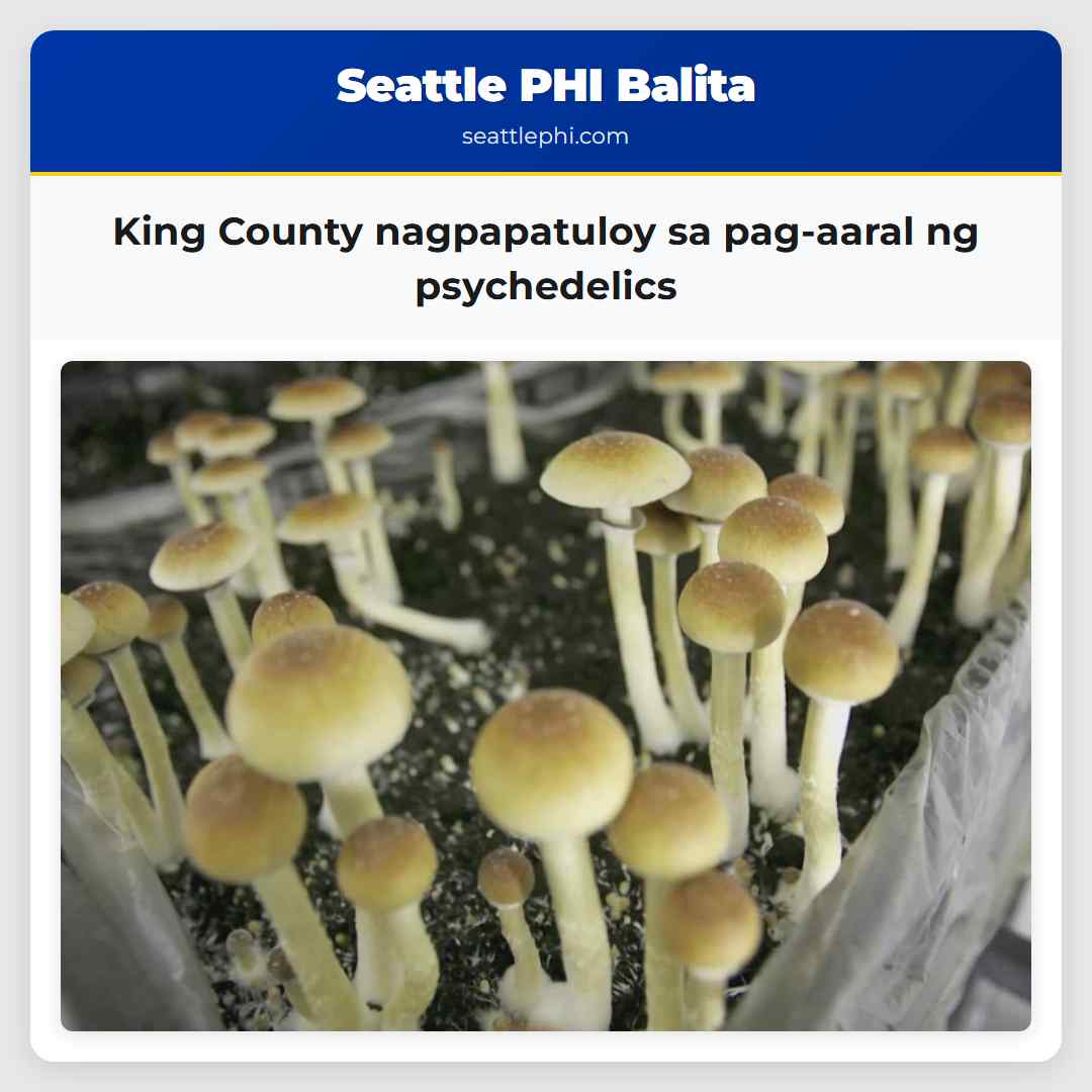 King County nagpapatuloy sa pag-aaral ng