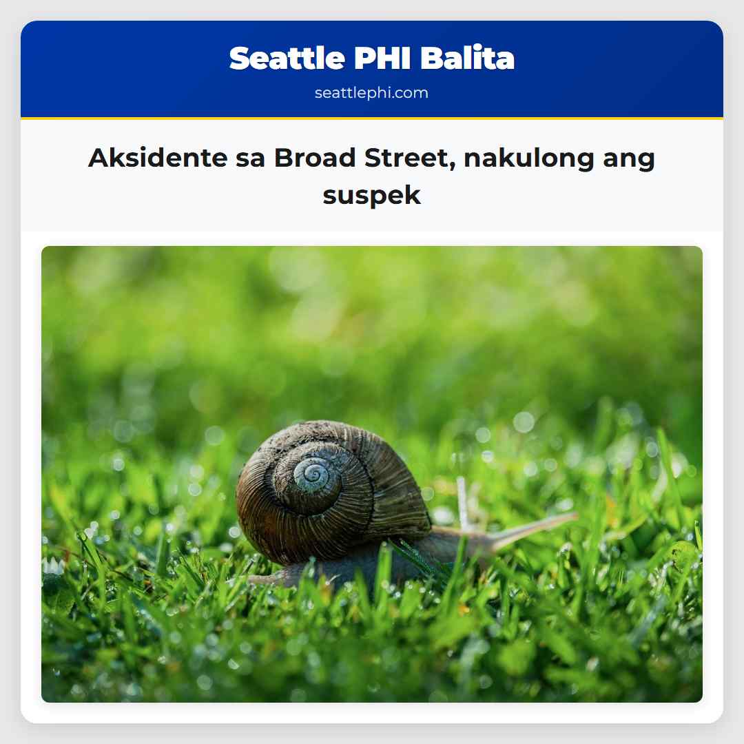 Aksidente sa Broad Street nakulong ang suspek
